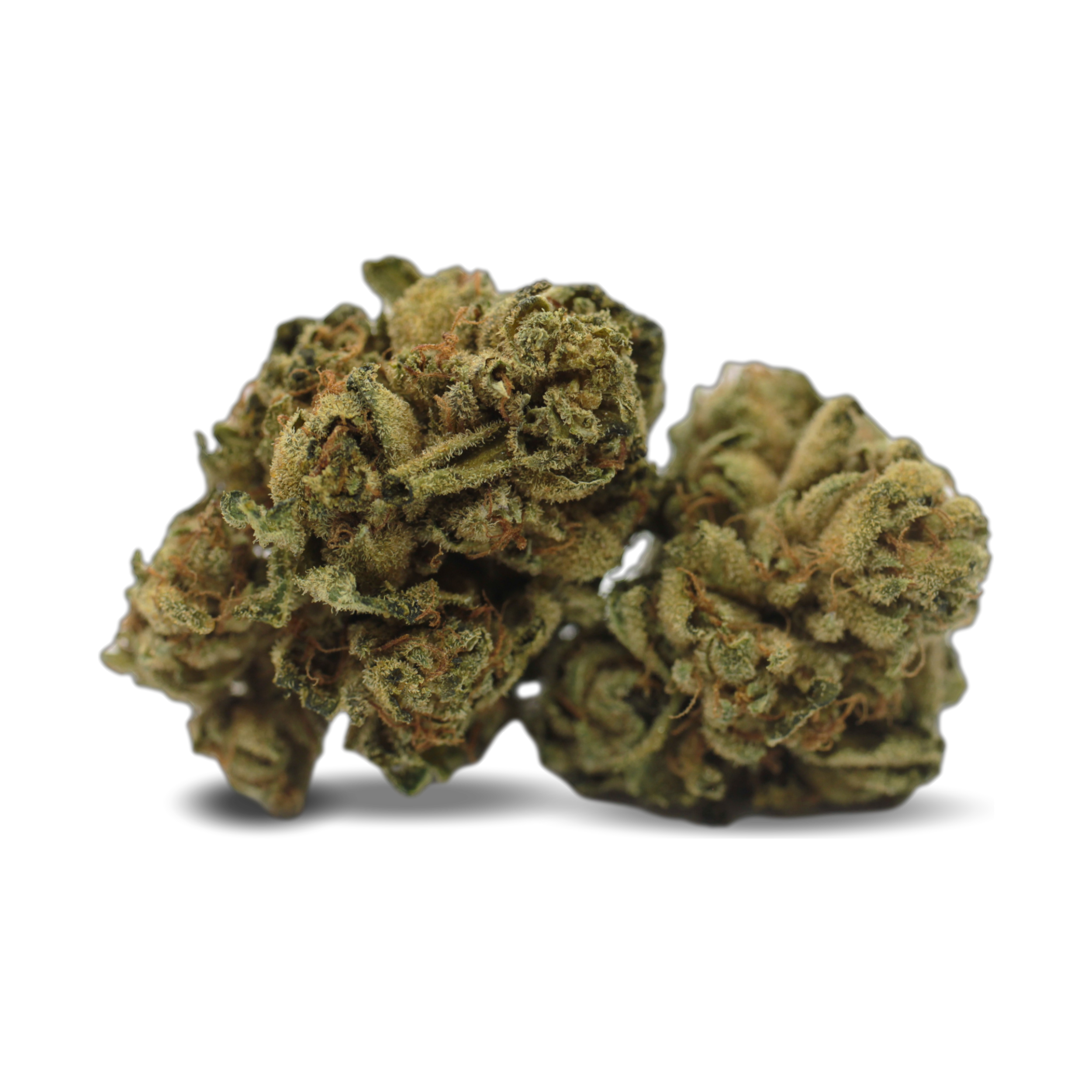Tilray THC 25 Spotlight Porto Purps