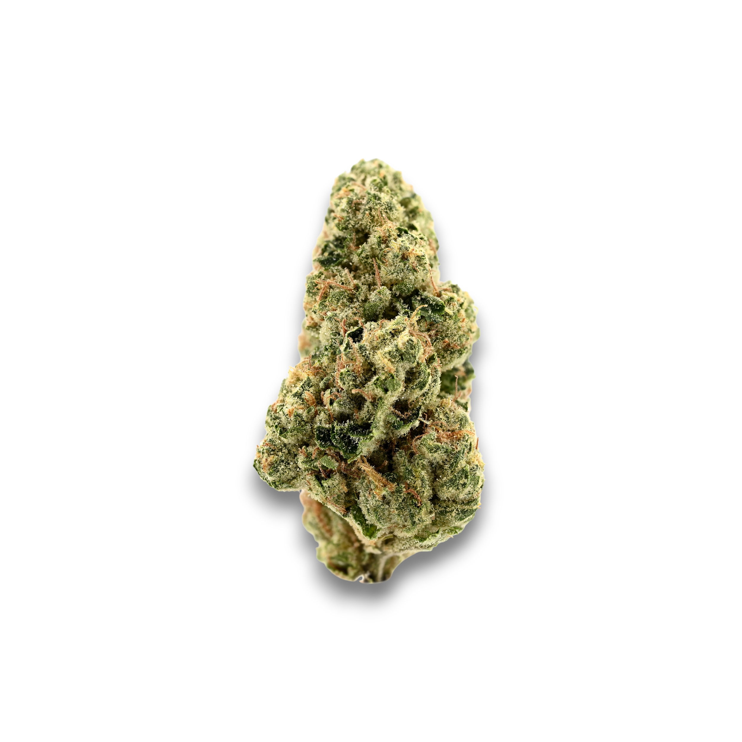 TRUU GT 31:01 Cookies OG Produktfoto