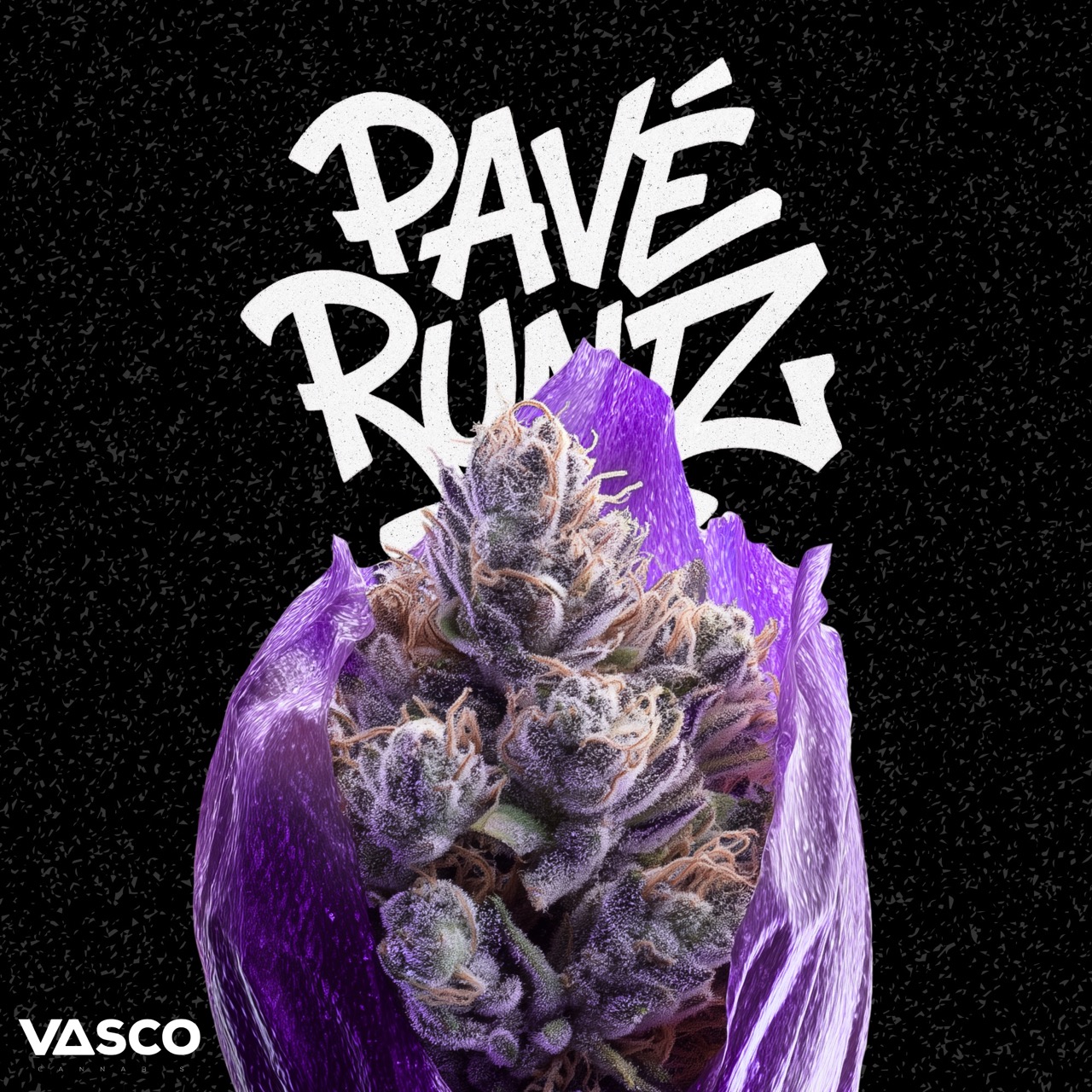Vasco PR