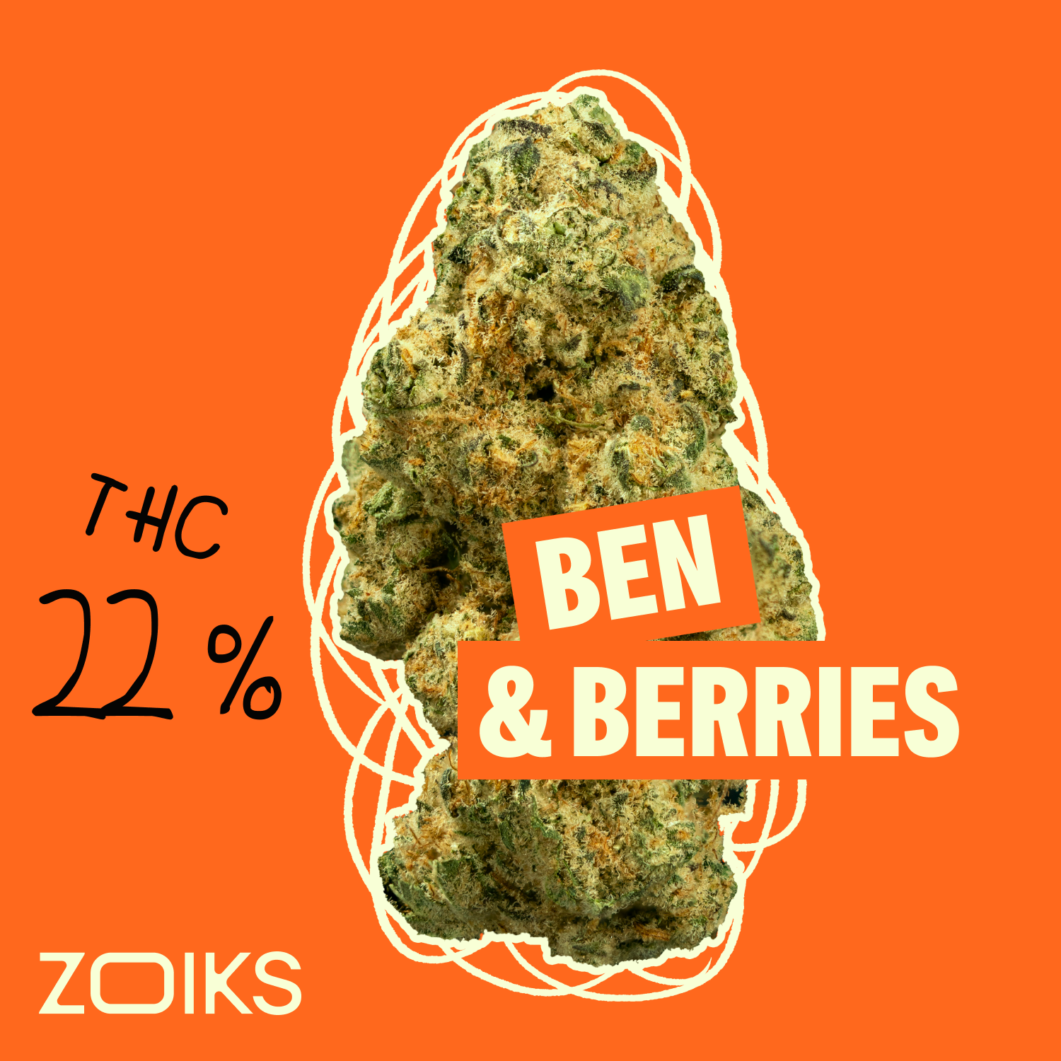 ZOIKS 22/1 BB product photo