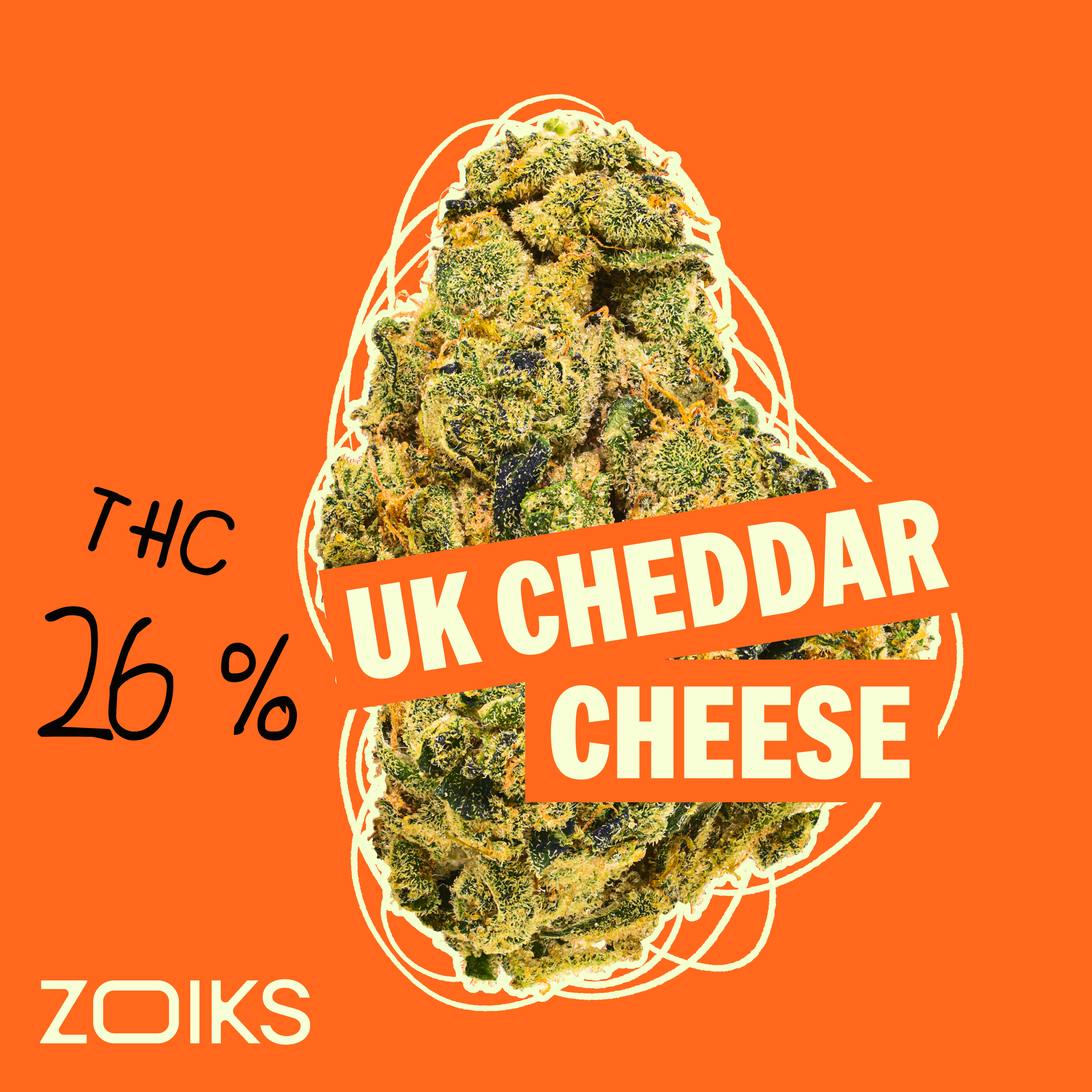ZOIKS 26/1 UKCC Produktfoto